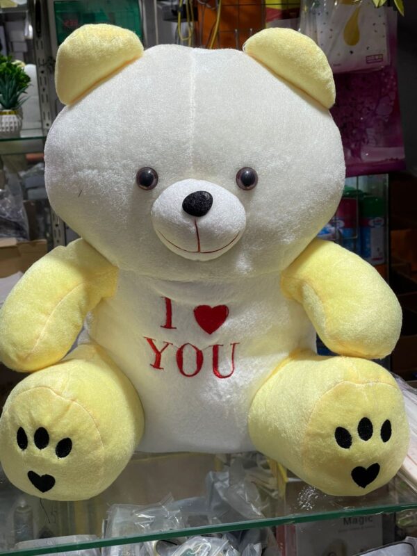 Love Teddy Gift