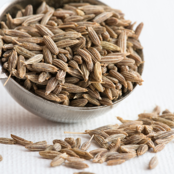 Cumin Seeds Zeera