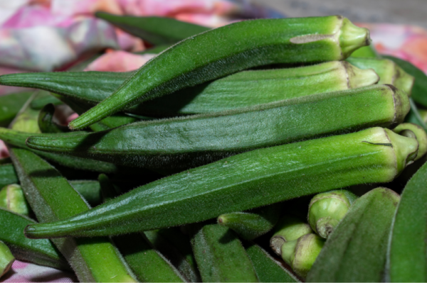 Okra
