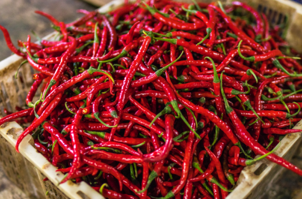 Red chili