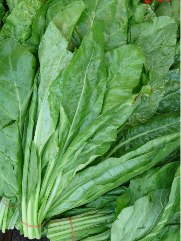Spinach