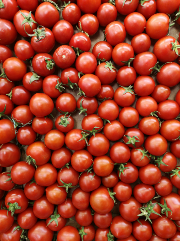 Tomatoes