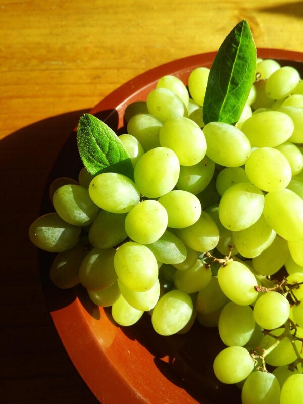 Grapes Sundarkhani
